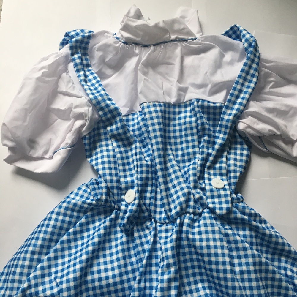 Wizard of Oz Dorothy Teen Costume Halloween
